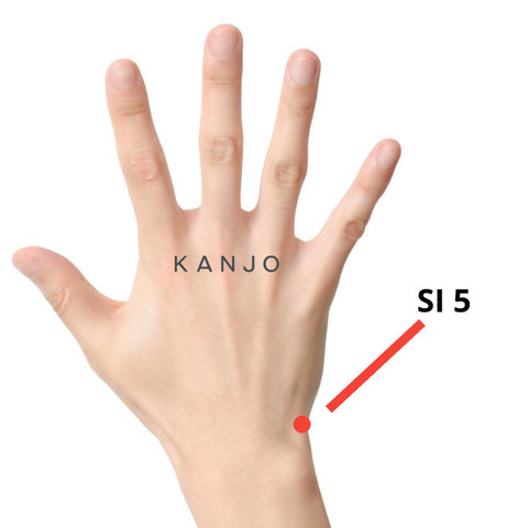 Acupuncture points hand out. The figure illustrates the seven... | Download  Scientific Diagram